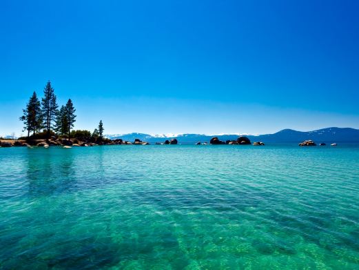 明天共有幾張滬牌拍賣公告